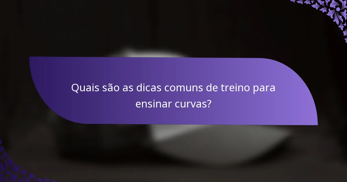 Quais são as dicas comuns de treino para ensinar curvas?